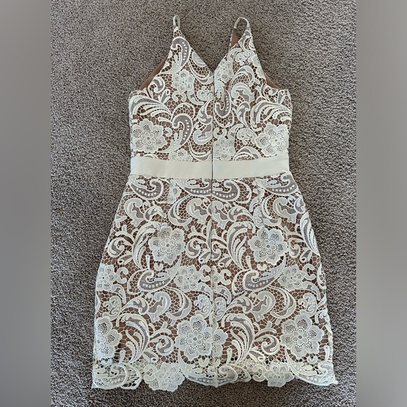 Dress The Population White and Nude Lace Ava Dress - V Neck Mini - Picture 5 of 16